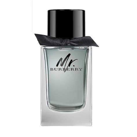 mr burberry formato piccolo|mr burberry cologne.